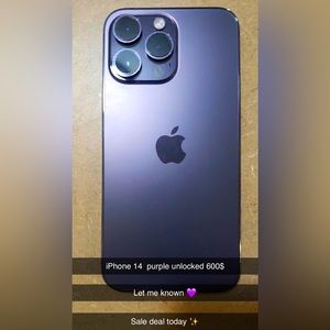 Meet your Posher, Analia